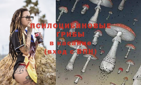 ECSTASY Кодинск