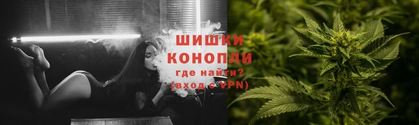 индика Коряжма