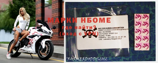 ECSTASY Кодинск