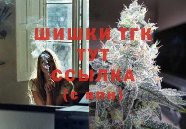 гидра Козловка