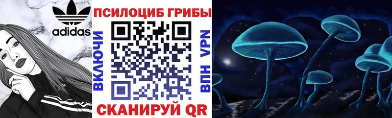 наркотики  Сысерть  Галлюциногенные грибы Cubensis 